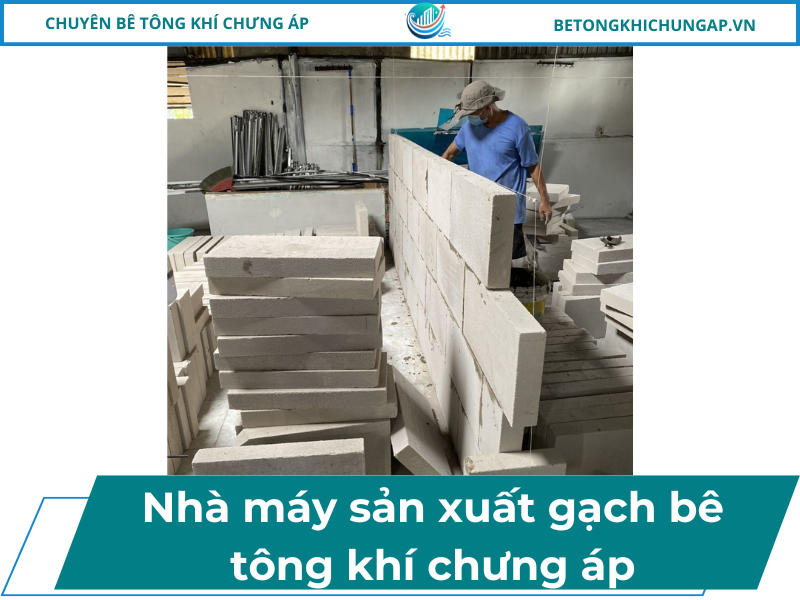 Nhà Máy Sản Xuất Gạch Bê Tông Khí Chưng Áp